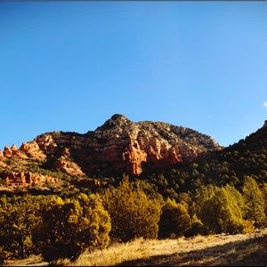 Meet your Posher, Ally